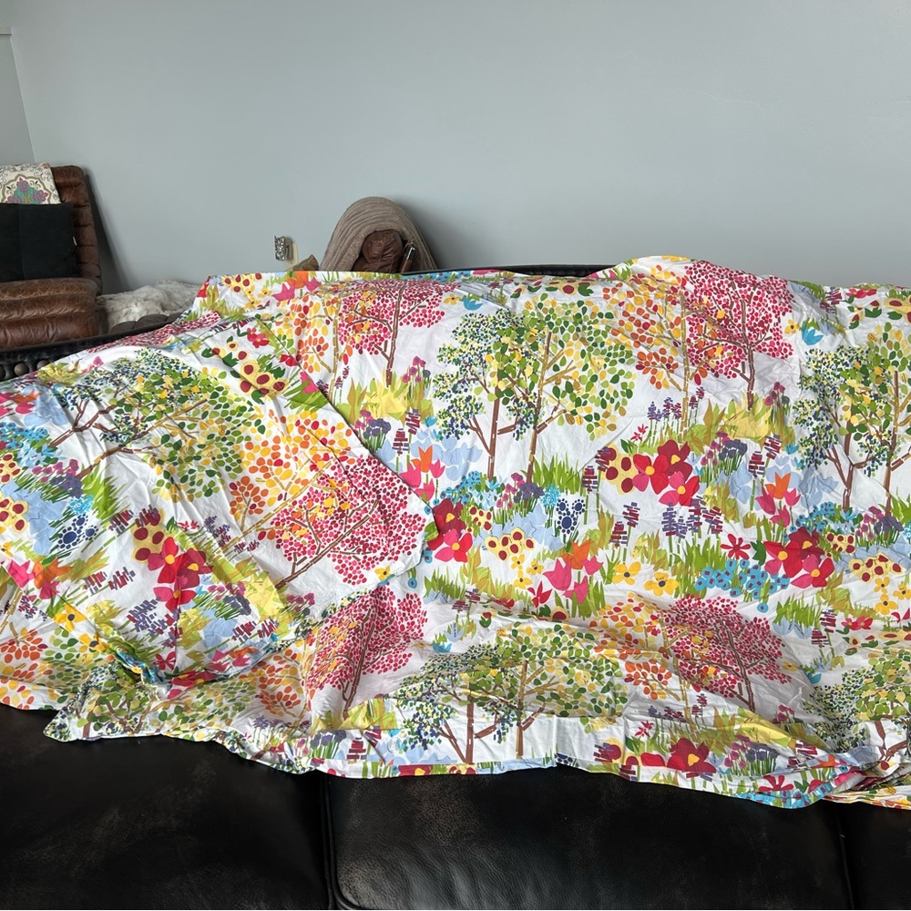 Pottery Barn duvet cover and sham